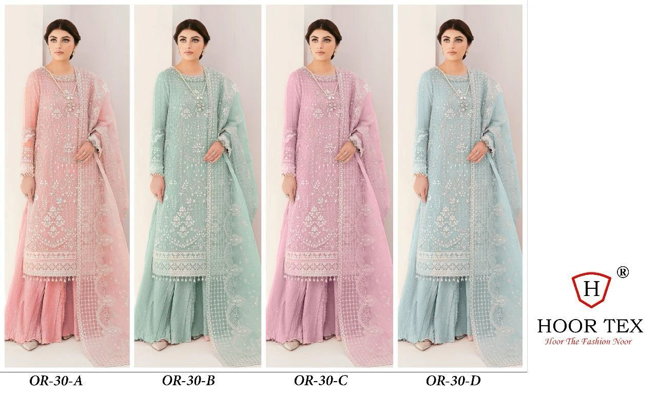 Hoor Tex Or-30,A To D Heavy Organza Wholesale Pakistani Salwar Suit Catalog — Wholesale Pakistani Suits, MPA wholesale from Surat — view 10